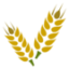 Image icon