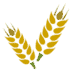 Image icon