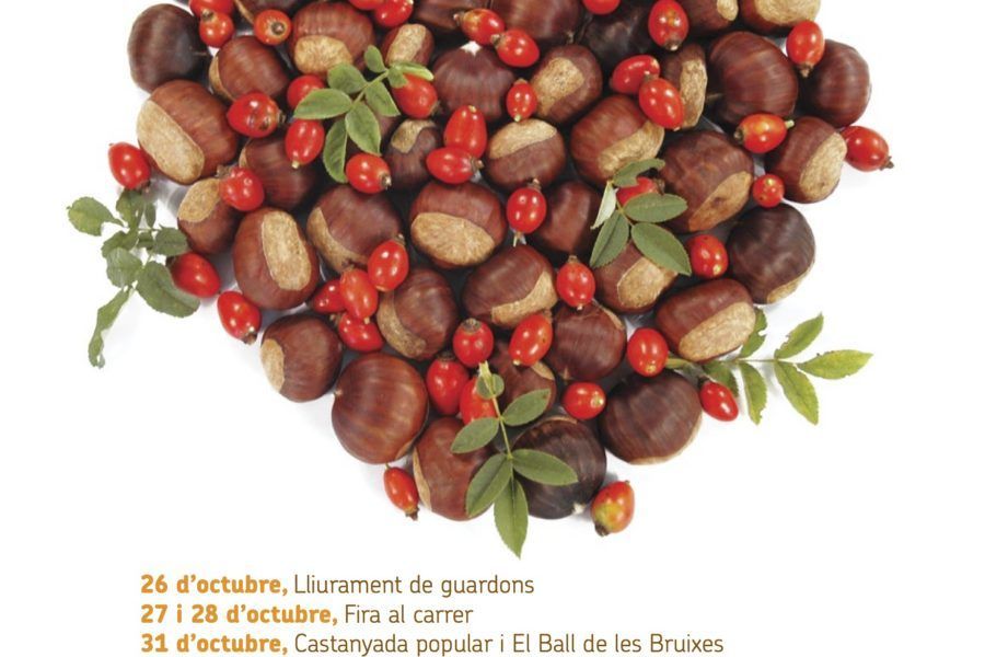 Fira de la Castanya de Viladrau (27 i 28 d’octubre)