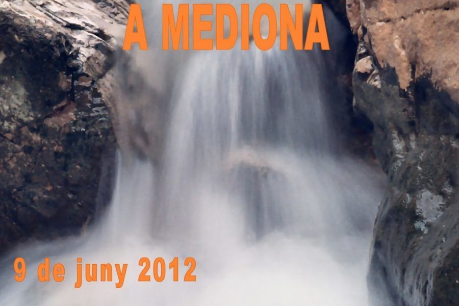 VII Mostra de Cervesa Artesana de Mediona (9 de juny)